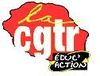cgtreduc action
